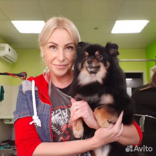 Груминг(стрижки,вычесывания,тримминг, линька)