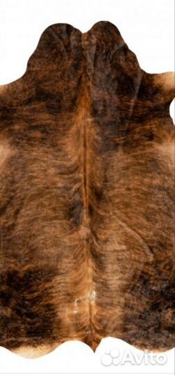 Шкура быка