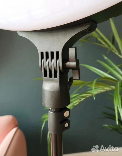 Кольцевые лампы от 20-45см + Штатив 210 см