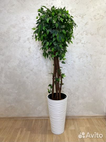 Искусственные растения