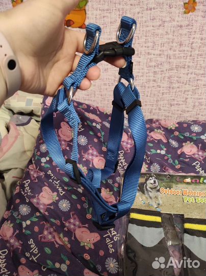 Рулетка, шлейка, носки, поводок для собаки