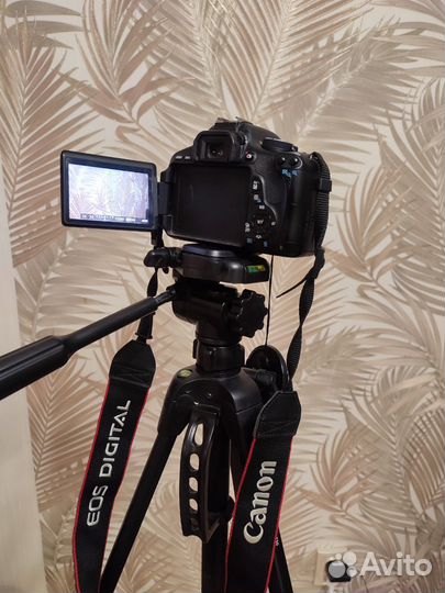 Canon EOS 600D