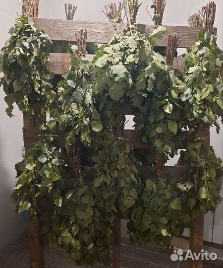 Банные веники