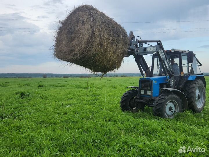 Продам сено в рулонах