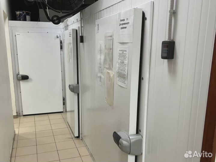 Холодильная камера для мяса