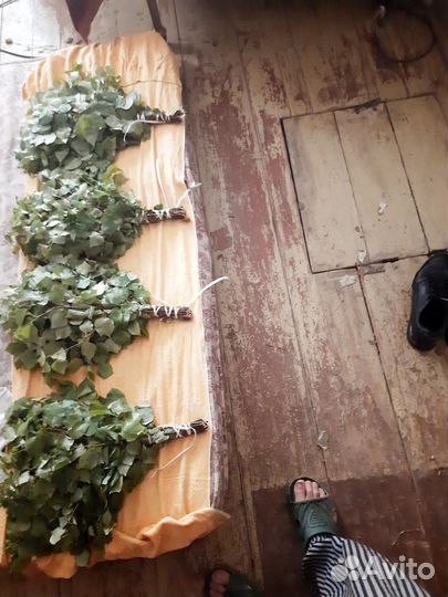 Веники для бани 2024 березовые