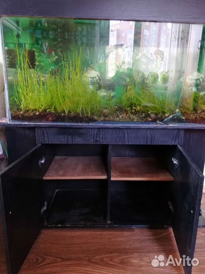 Аквариум с тумбой