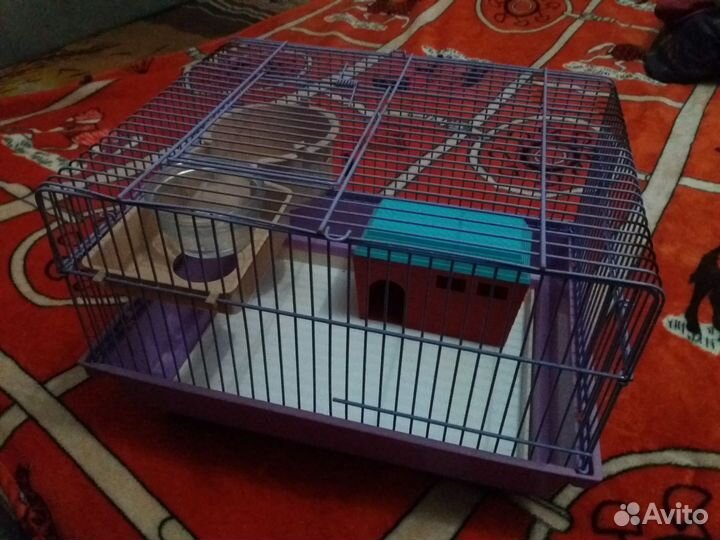 Клетки разные