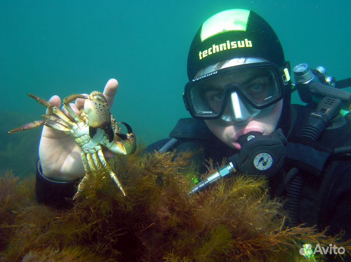 Дайвинг Сочи