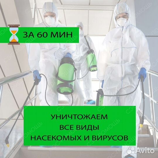 Уничтожение тараканов клопов мышей блох плесени ос