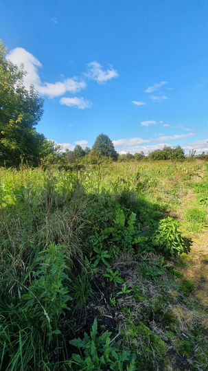 Участок 23 сот. (ИЖС)