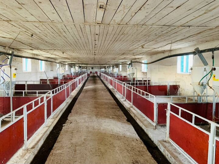 Животноводческая ферма, 3000 м²