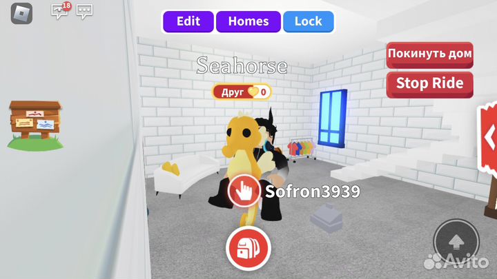 Морской конёк в Адоп ми