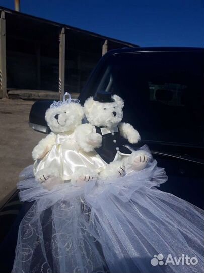 Ленты на гостевые машины