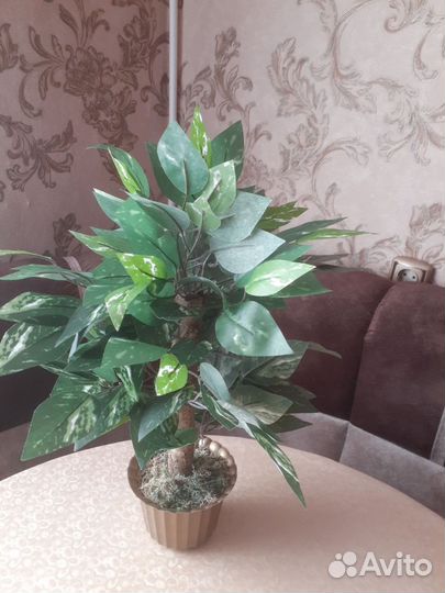 Искусственный Спатифиллум