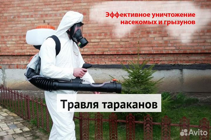 Уничтожение клопов тараканов грызунов блох клещей