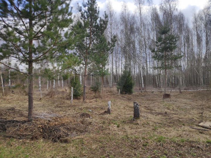 Участок 43 сот. (СНТ, ДНП)