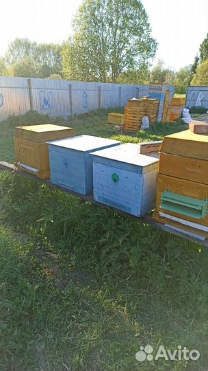 Улей дадан 12