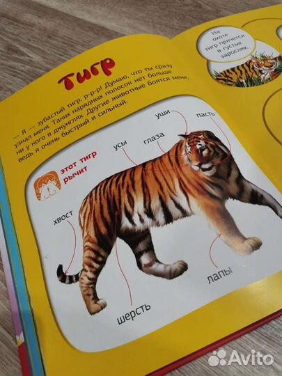 Большая говорящая книга