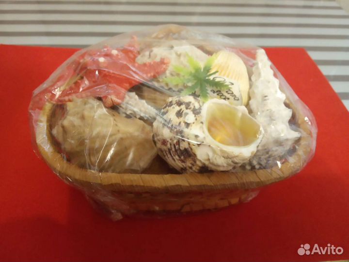 Набор ракушек