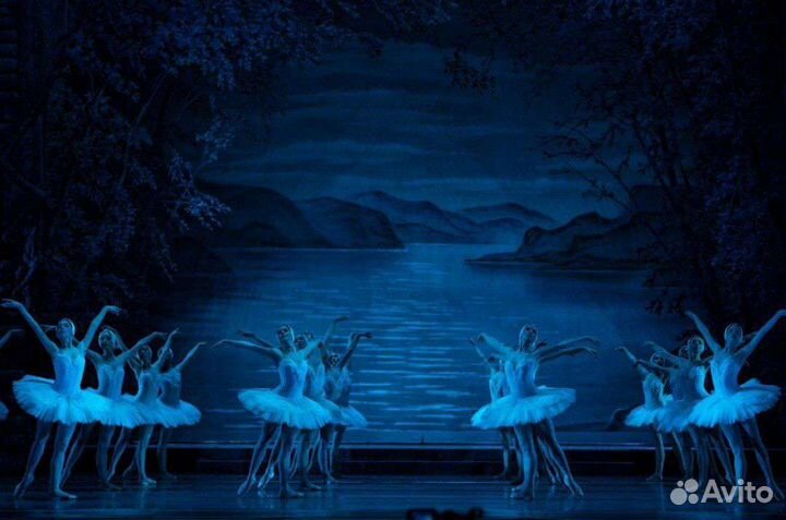 Билеты на балет 