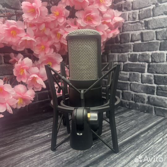 Akg p220