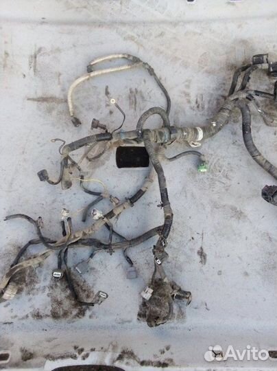 Проводка двигателя Nissan Qashqai MR20 2011