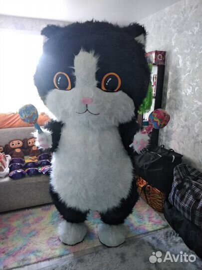 Аниматоры / Котики на праздник, выписку, др