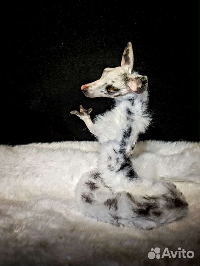 Дракон, авторская игрушка ручной работы