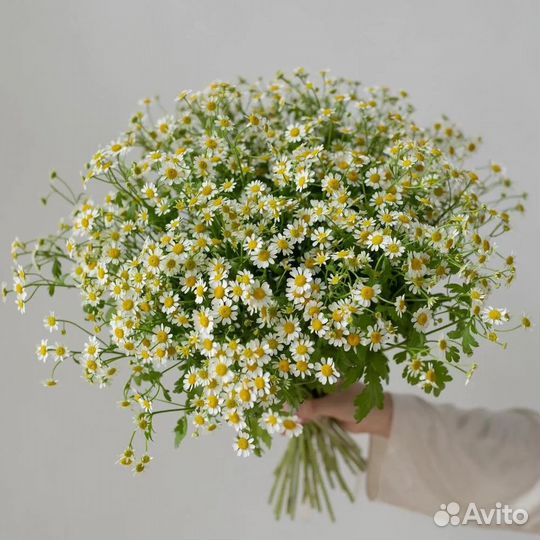 Букет из ромашек 11 21 31 41 51 101