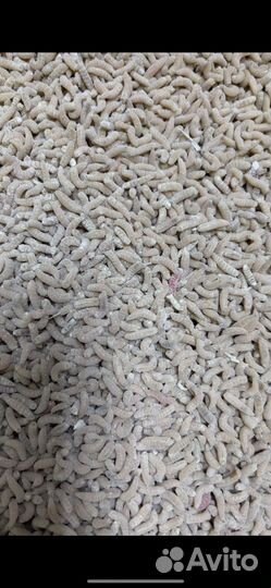 Наживка на рыбалку