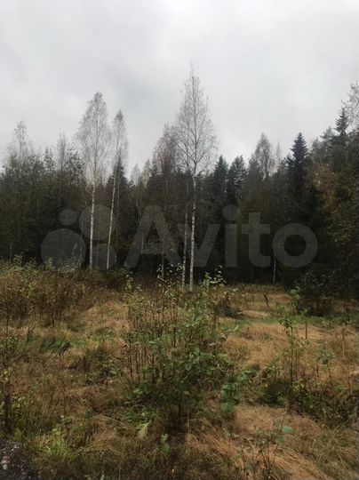 Участок 12 сот. (ИЖС)