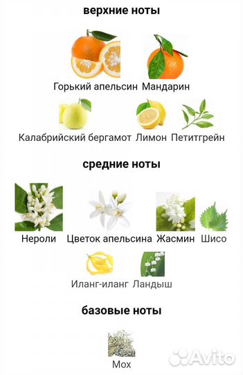 Sole di Positano Tom Ford