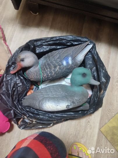 Утки подсадные для охоты