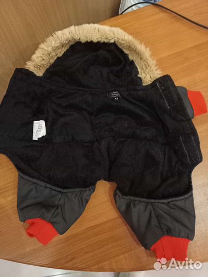 Одежда для собак мелких пород