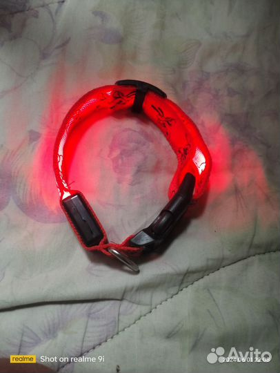 Ошейник для собак