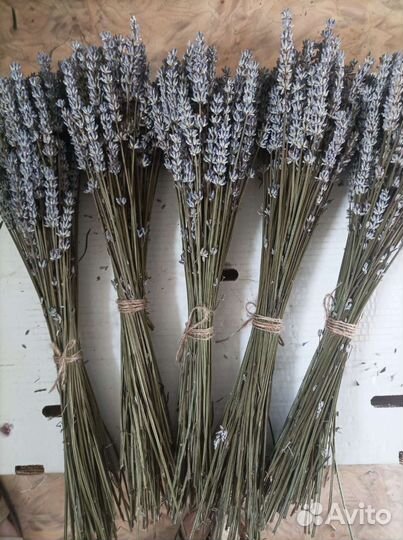 Лавандин пучки