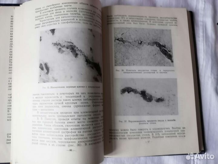 М.Александровская 