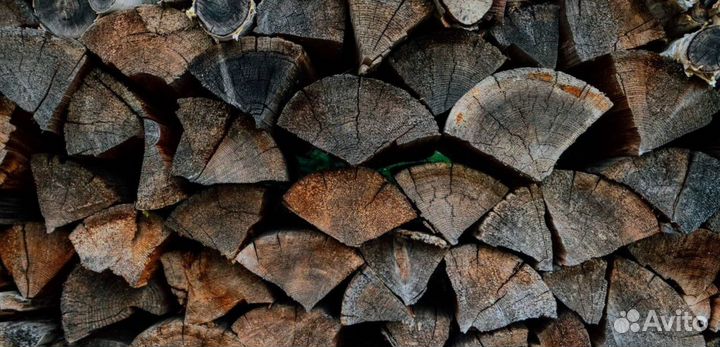 Дрова с Приморска