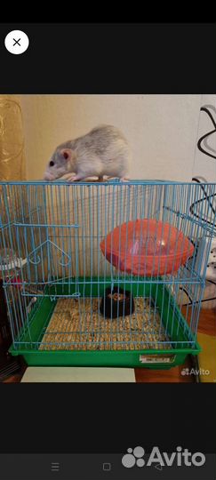 Клетка для грызунов