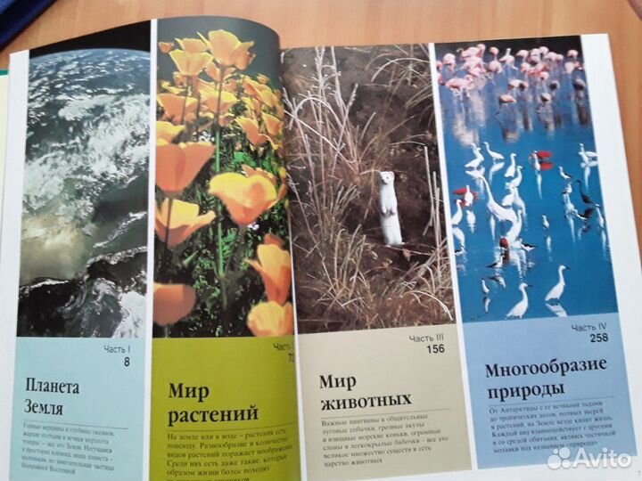 Энциклопедия