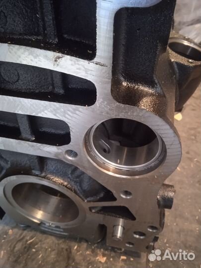 Блок цилиндров баф феникс 1044 юджин 1041