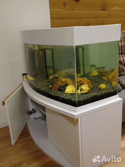 Тумба под аквариум на заказ