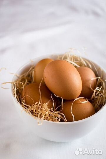 Домашние куриные яйца