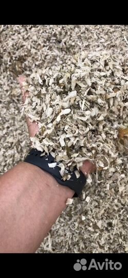 Жом свекловичный