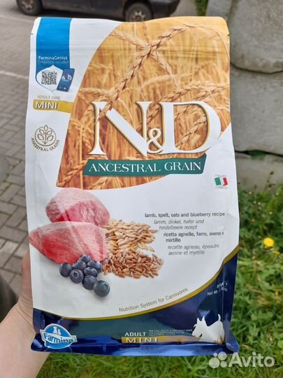 Сухой корм для собак