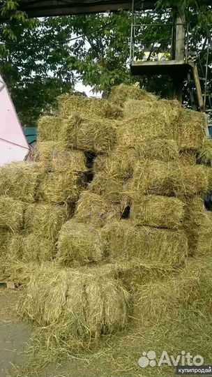 Сено и Стружка в тюках