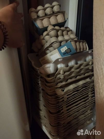 Лотки для яиц куриных и перепелиных