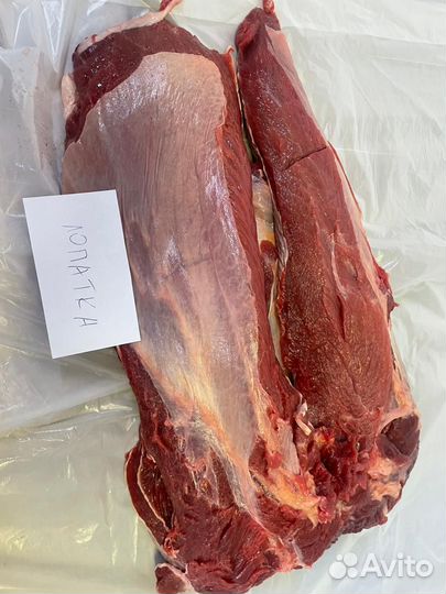 Продам мясо говядины
