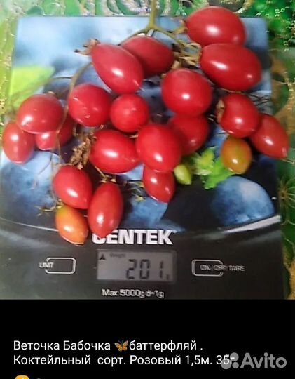 Семена помидор черри